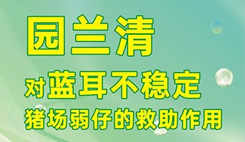 園蘭清對藍耳不穩(wěn)定豬場弱仔的救助作用！